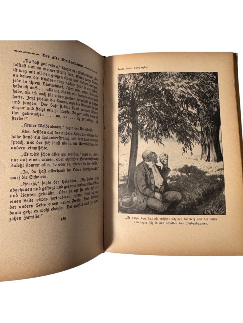 "Mother Nature Tells" By Karl Ewald Hardcover Book German Mutter Natur Erzählt - Picture 9 of 16